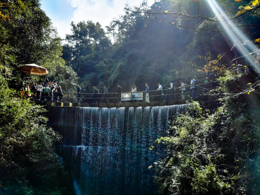 17334485911995871DDA.jpg IMG_20241103_103637.jpg