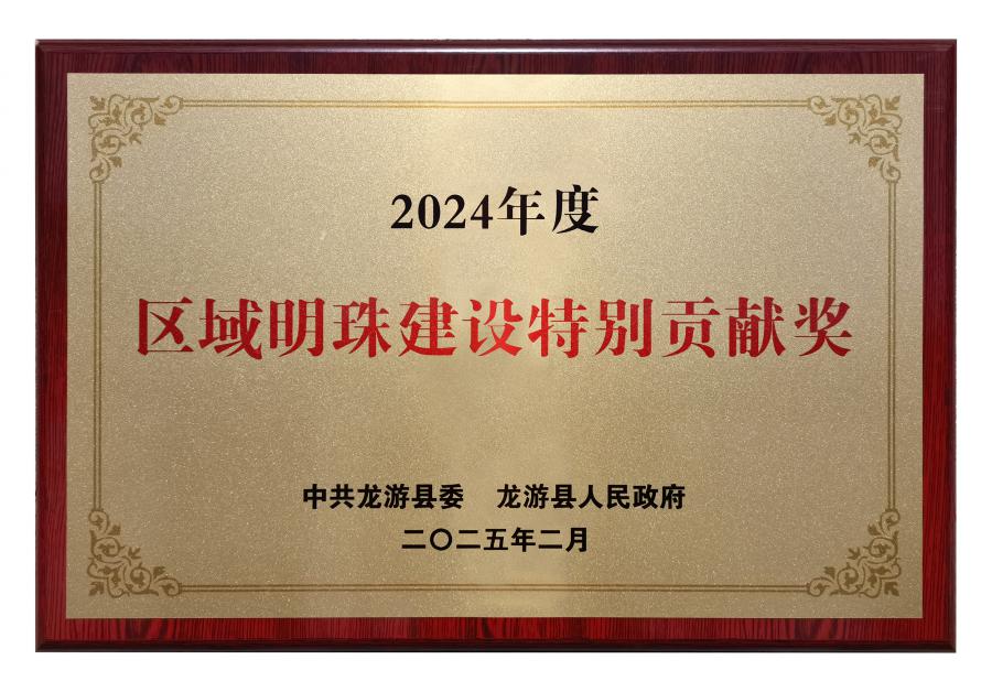 17389759585555347866.jpg 2024区域明珠建设特别贡献奖.jpg